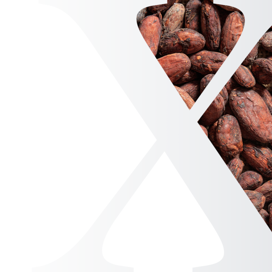 Cocoa Market Analysis Subscriptions