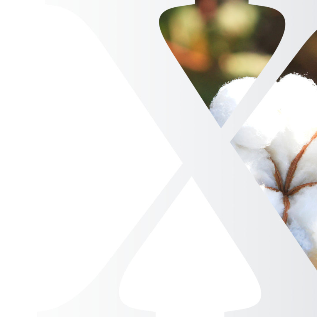 Cotton Market Analysis Subscriptions