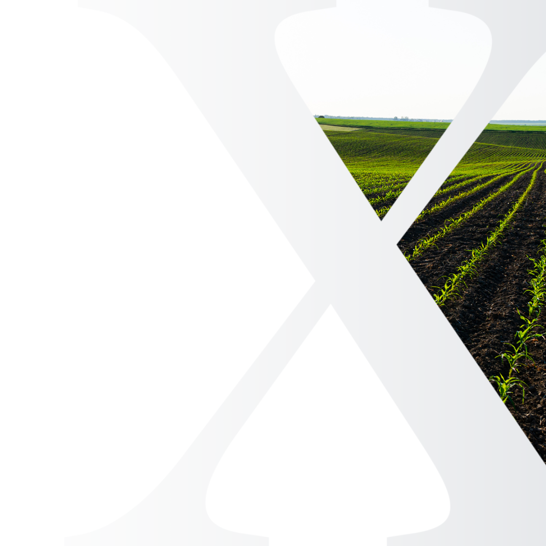 Fertilizers Market Analysis Subscriptions
