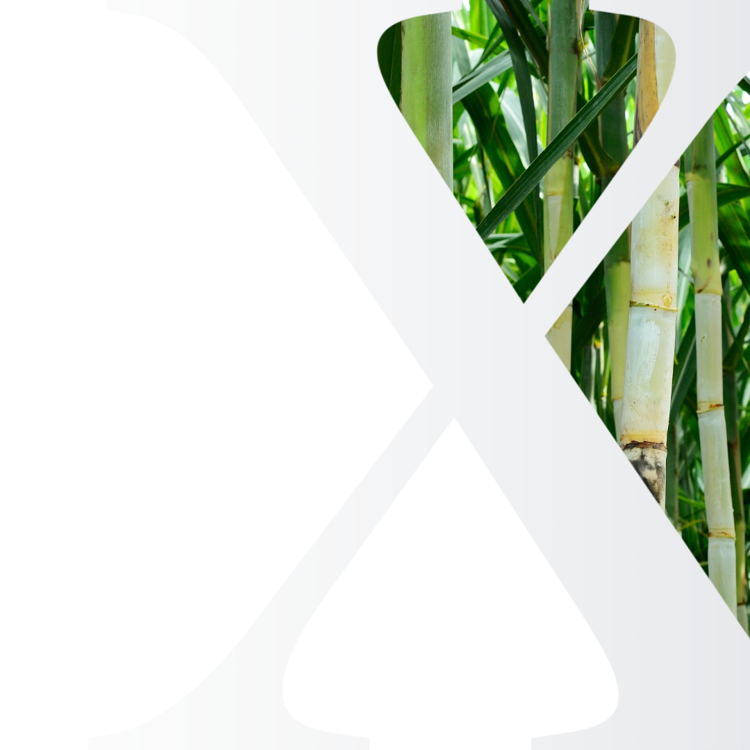 Sugar and Ethanol Market Analysis Subscriptions