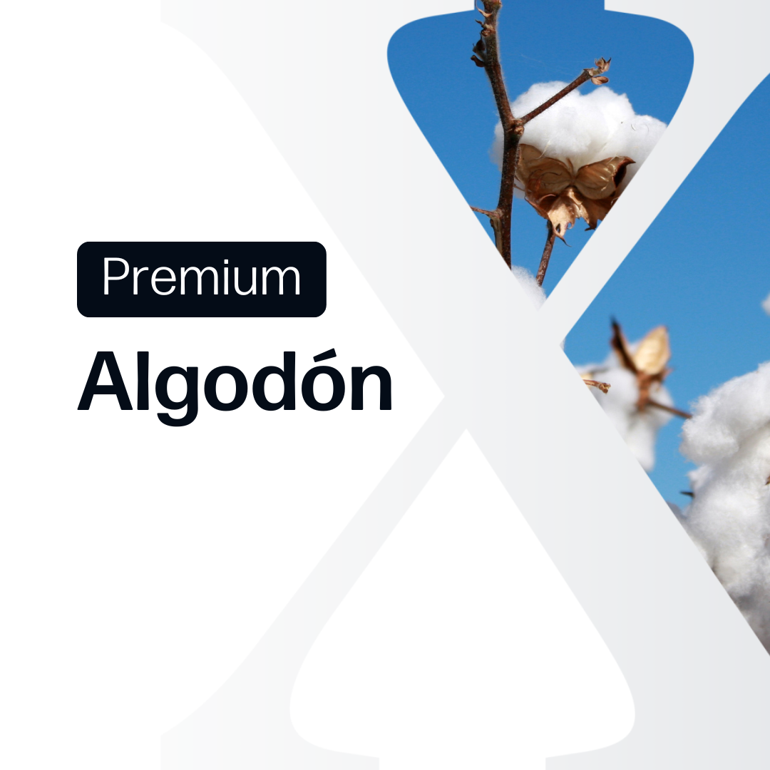 Algodón Premium - Paraguay y Brasil