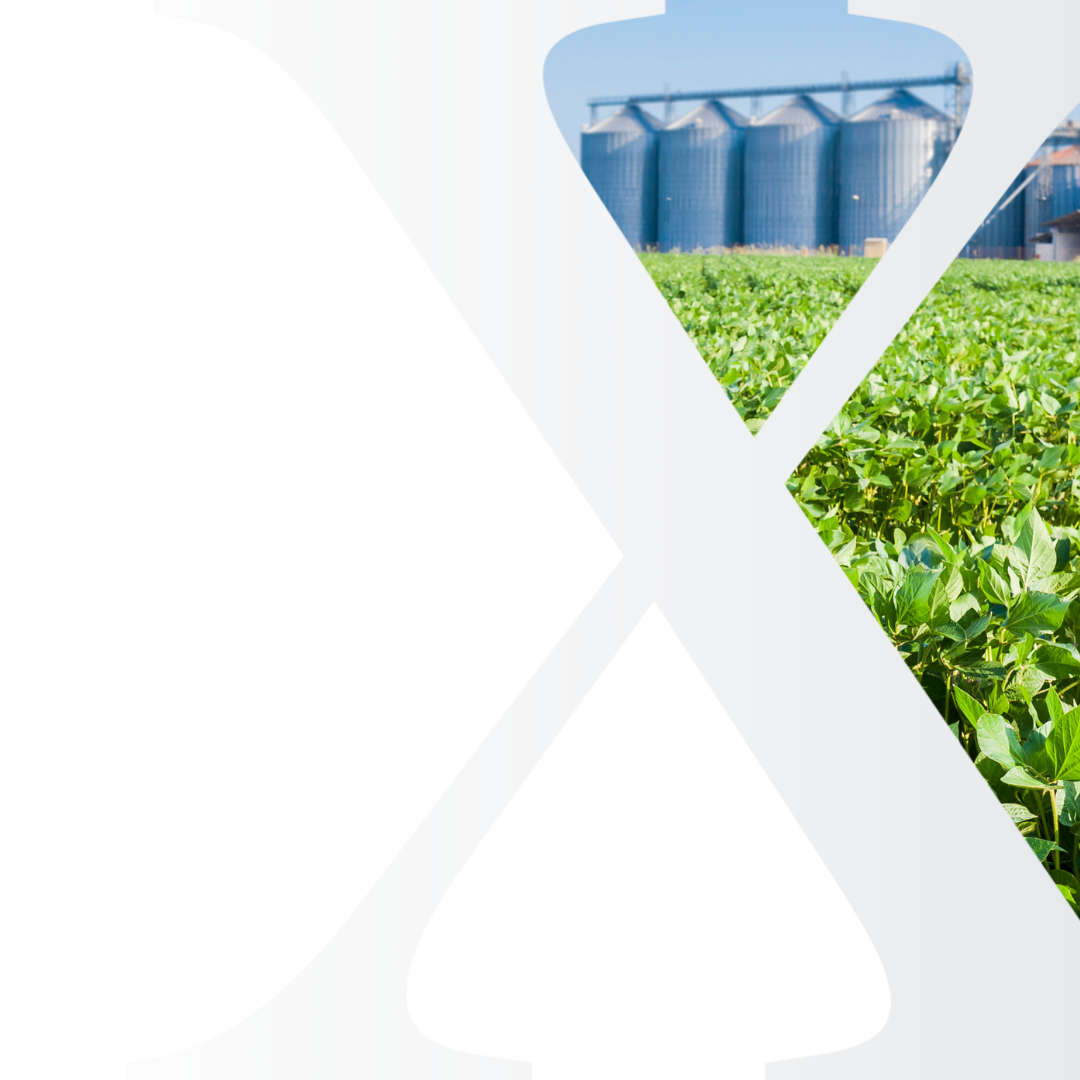 Grains and Oilseeds Market Analysis Subscriptions (Paraguay)