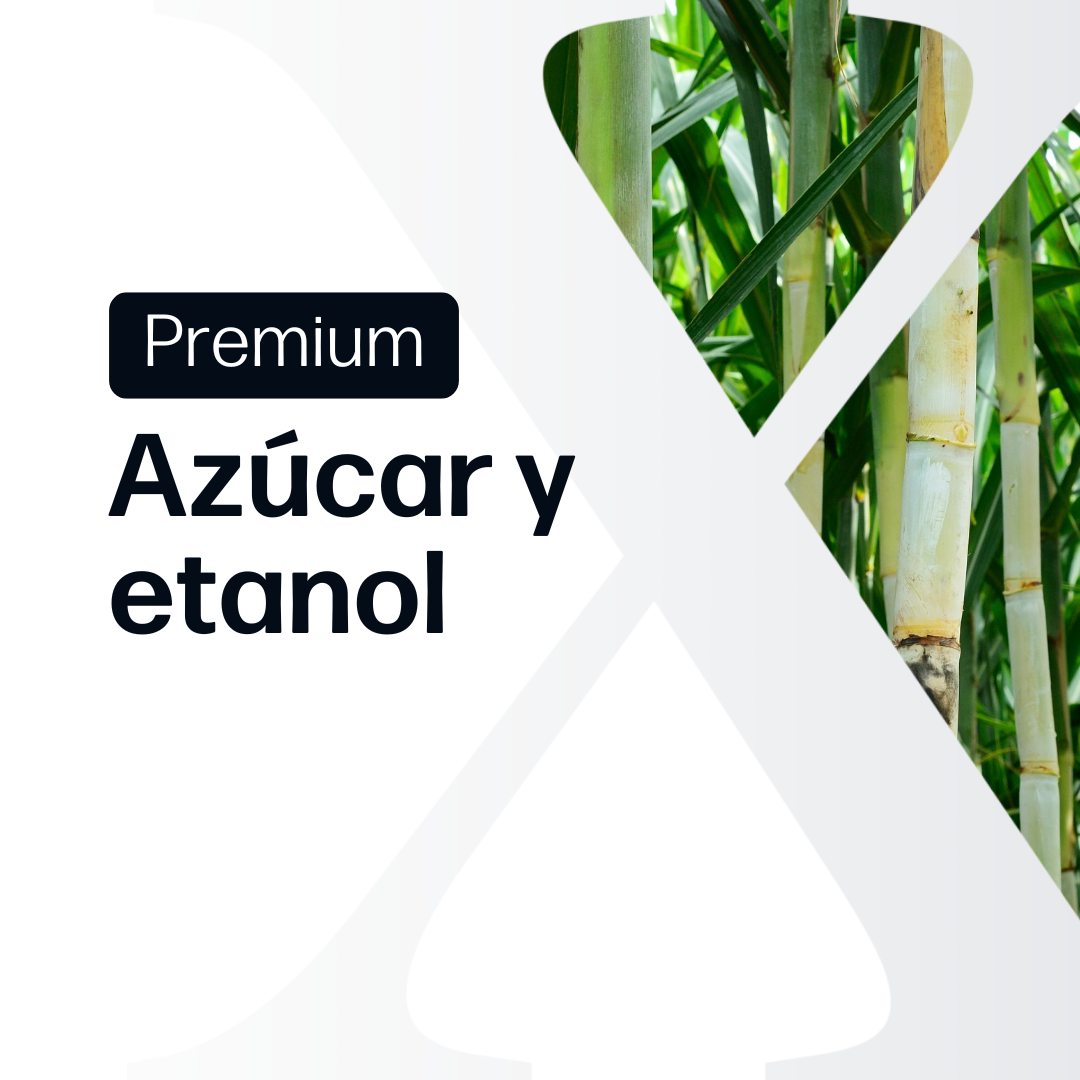 Açúcar y Etanol Premium - Paraguay y Brasil