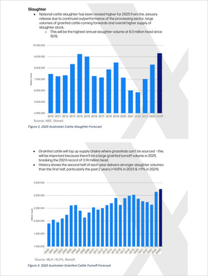 Australian Cattle & Beef - Market Reports Subscription featuring detailed slaughter and grainfed turnoff forecasts for 2025 with market insights, price trends, and expert analysis by Market Reports Subscriptions delivering expert insights and exclusive market analysis. - report example 7
