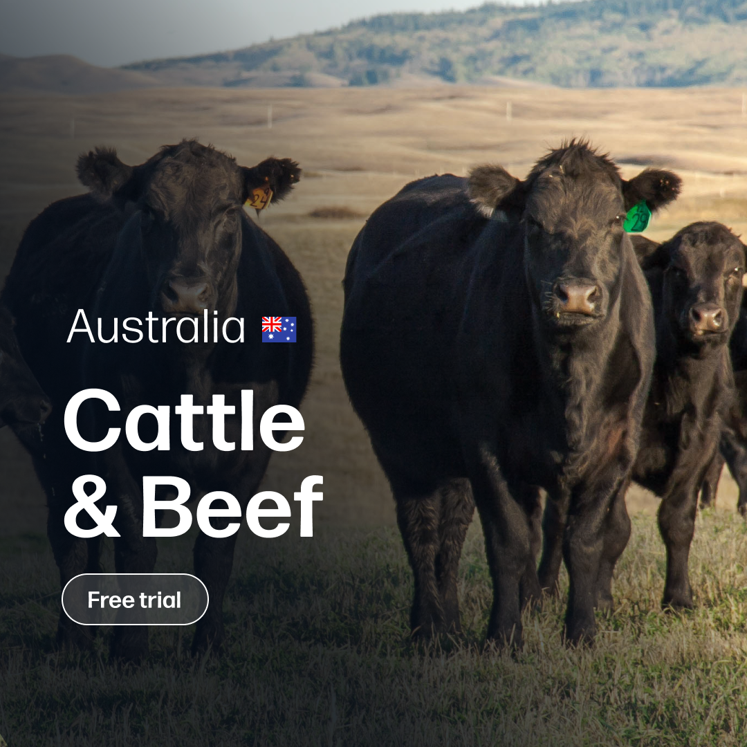 Australian Cattle & Beef  - Market Reports