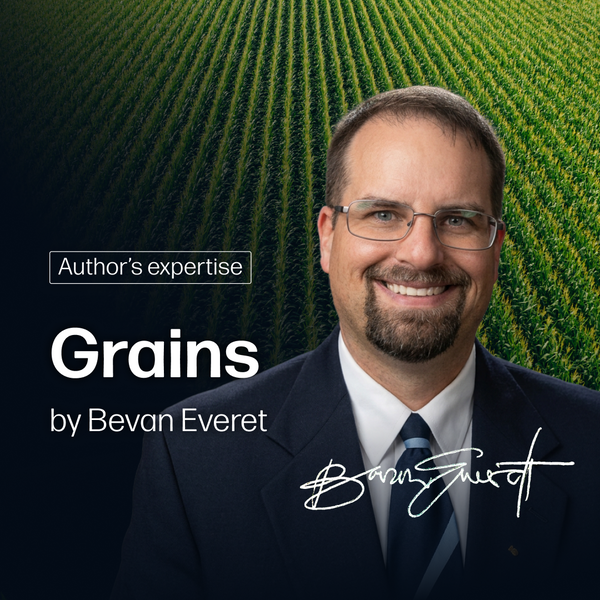 Grains Market Reports | By Bevan Everett