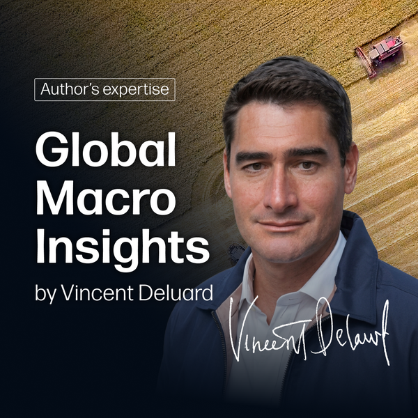 Global Macro Insights by Vincent Deluard - Market Reports