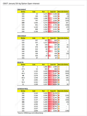 CBOT Agricultural Options Report Subscription showing detailed open interest data with strike price levels, net changes, and market trends for wheat, bean oil, and soybean meal. Market Reports Subscriptions. Expert insights and exclusive market analysis. - report example 6
