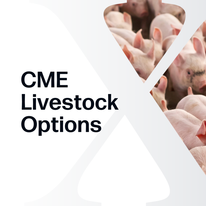 CME Livestock Options Report Subscription cover featuring a stylized StoneX logo with images of livestock swine, delivering Market Reports Subscriptions with expert insights and exclusive market analysis.