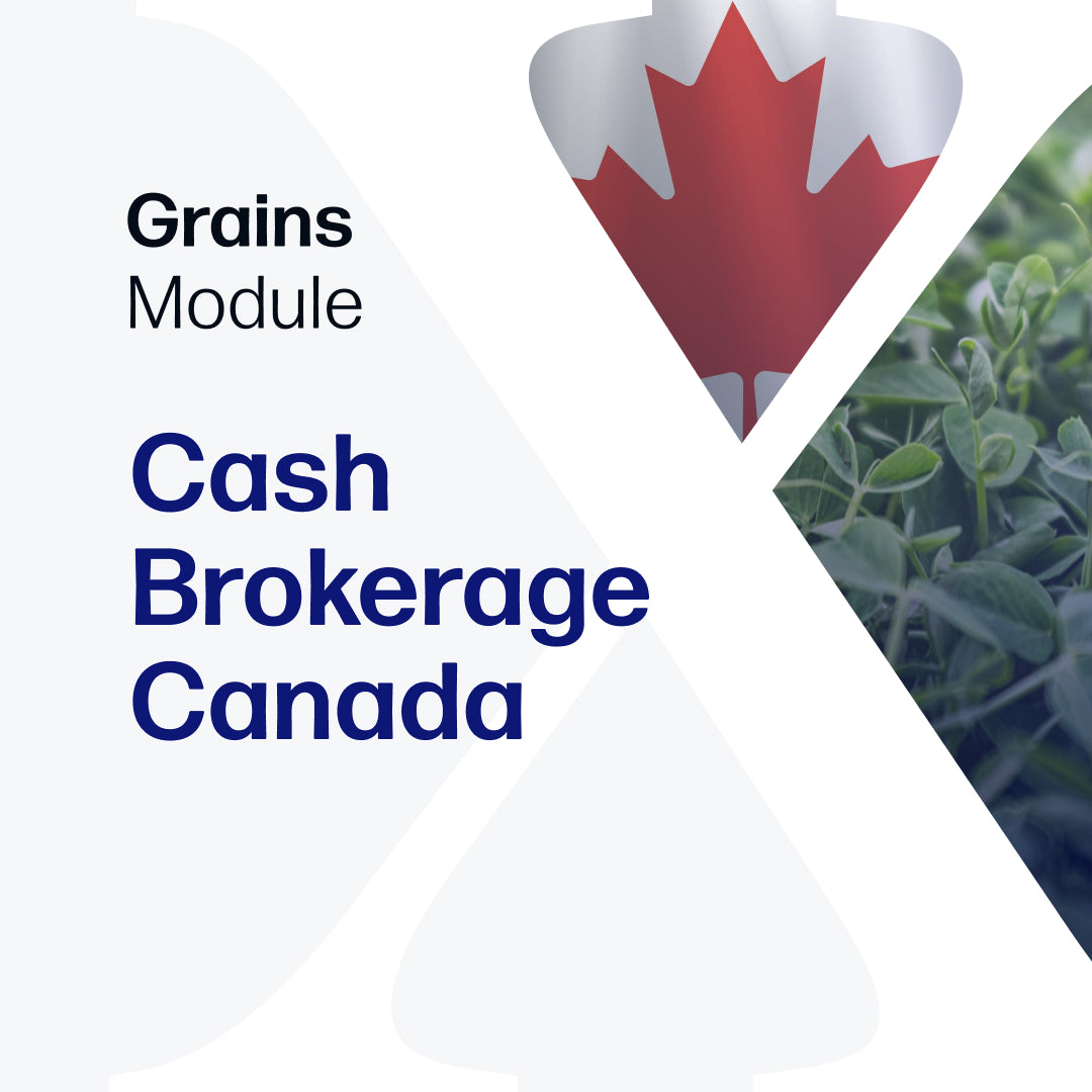 Cash Brokerage Canada - Market Reports Subscription