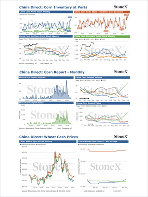 Grains China - Market Reports Subscription presenting detailed charts on corn inventory at Chinese ports, import volumes and values, and wheat cash price trends with expert insights and exclusive market analysis for Market Reports Subscriptions. - report example 30