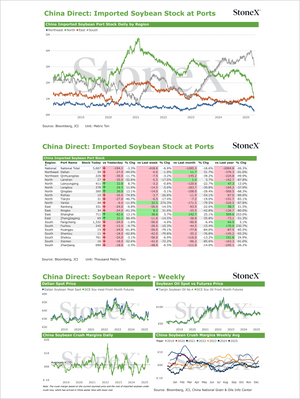Grains China - Market Reports Subscription presenting detailed charts on imported soybean stock at Chinese ports by region with daily and weekly data, soybean price trends, and margin analysis, featuring expert insights and exclusive market intelligence for Market Reports Subscriptions. - report example 29