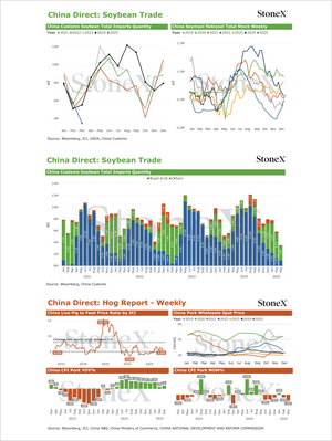 Grains China - Market Reports Subscription featuring comprehensive charts on soybean import quantities, national stock trends, hog feed price ratios, pork wholesale spot prices, and year-over-year pork data with expert market insights and exclusive analysis. - report example 27