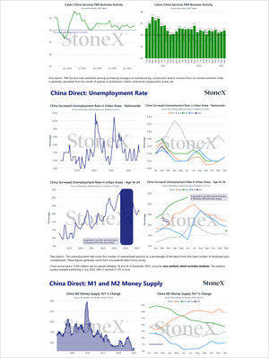 Grains China - Market Reports Subscription featuring detailed charts on PMI business activity, unemployment rates by age groups, and M1 and M2 money supply trends with expert insights and exclusive market analysis for Market Reports Subscriptions. - report example 20