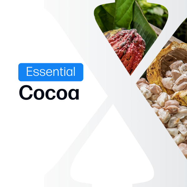 Cocoa Market Reports Subscription | Essential