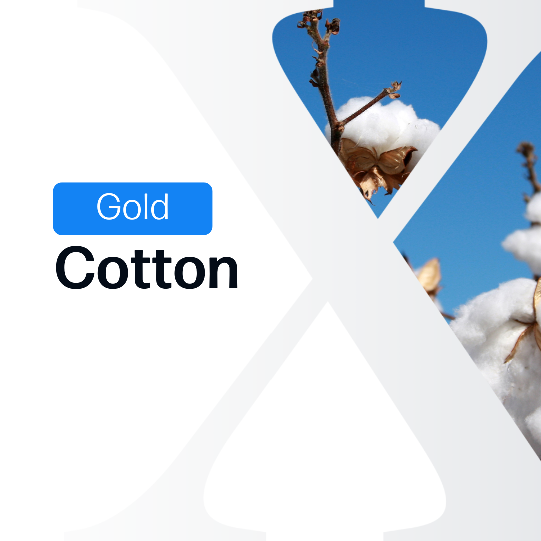Cotton Gold Plan - Market Reports