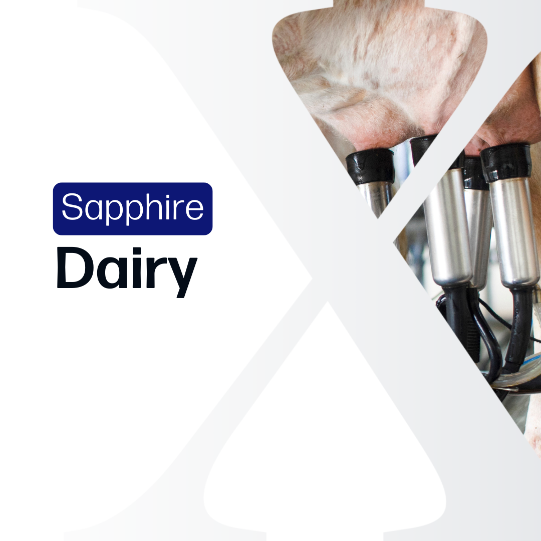 Dairy Sapphire - Market Reports