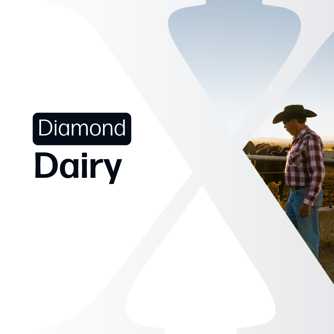 Dairy Diamond - Market Reports