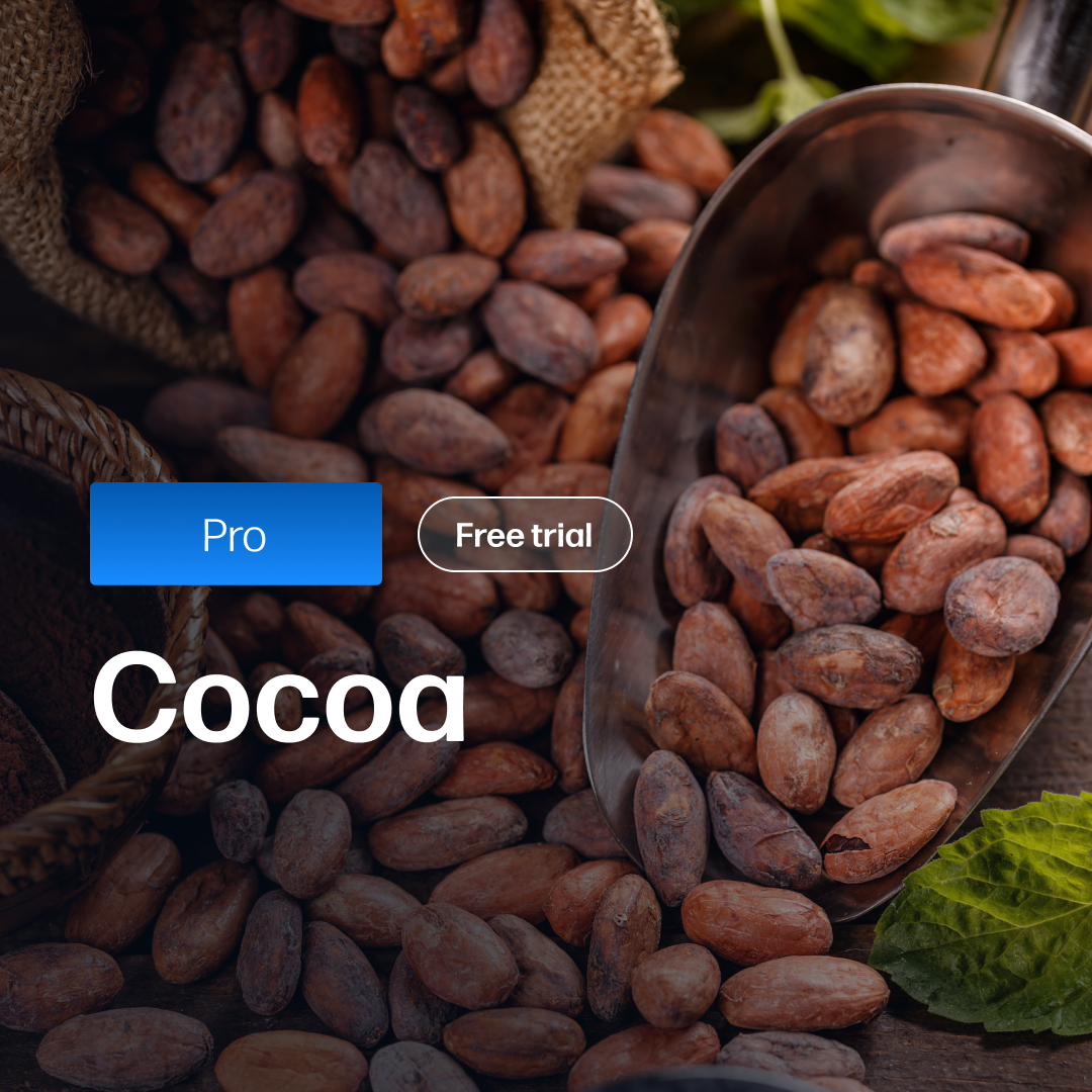 Close-up of dried cocoa beans spilling from a metal scoop and burlap sack surrounded by green leaves, representing market insights for the Cocoa Market Reports Subscription | Pro.