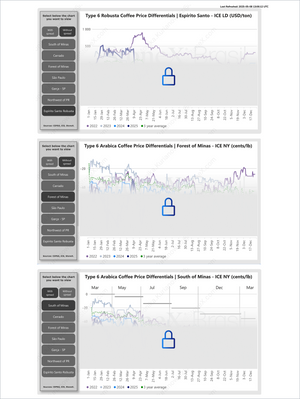 Coffee Differential Insights (Exclusive Offer 20%) featuring locked detailed charts of Type 6 Robusta and Arabica coffee price differentials for key Brazilian regions, supporting Market Reports Subscriptions with expert insights and exclusive market analysis. - report example 1