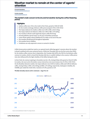 Market report focusing on coffee futures with analysis of dry weather impacts on flowering, price trends for Arabica and Robusta, and fertilizer purchase outlook in Coffee Pro - Market Reports (Exclusive Offer 20% OFF) delivering Market Reports Subscriptions with expert insights and exclusive market analysis. - report example 21