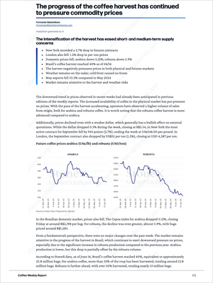 Page from Coffee Essential - Market Reports (Exclusive Offer 20% OFF) analyzing coffee harvest progress impact on commodity prices, with detailed market insights, price trends for Arabica and Robusta, and expert perspectives in Market Reports Subscriptions featuring expert insights and exclusive market analysis. - report example 7