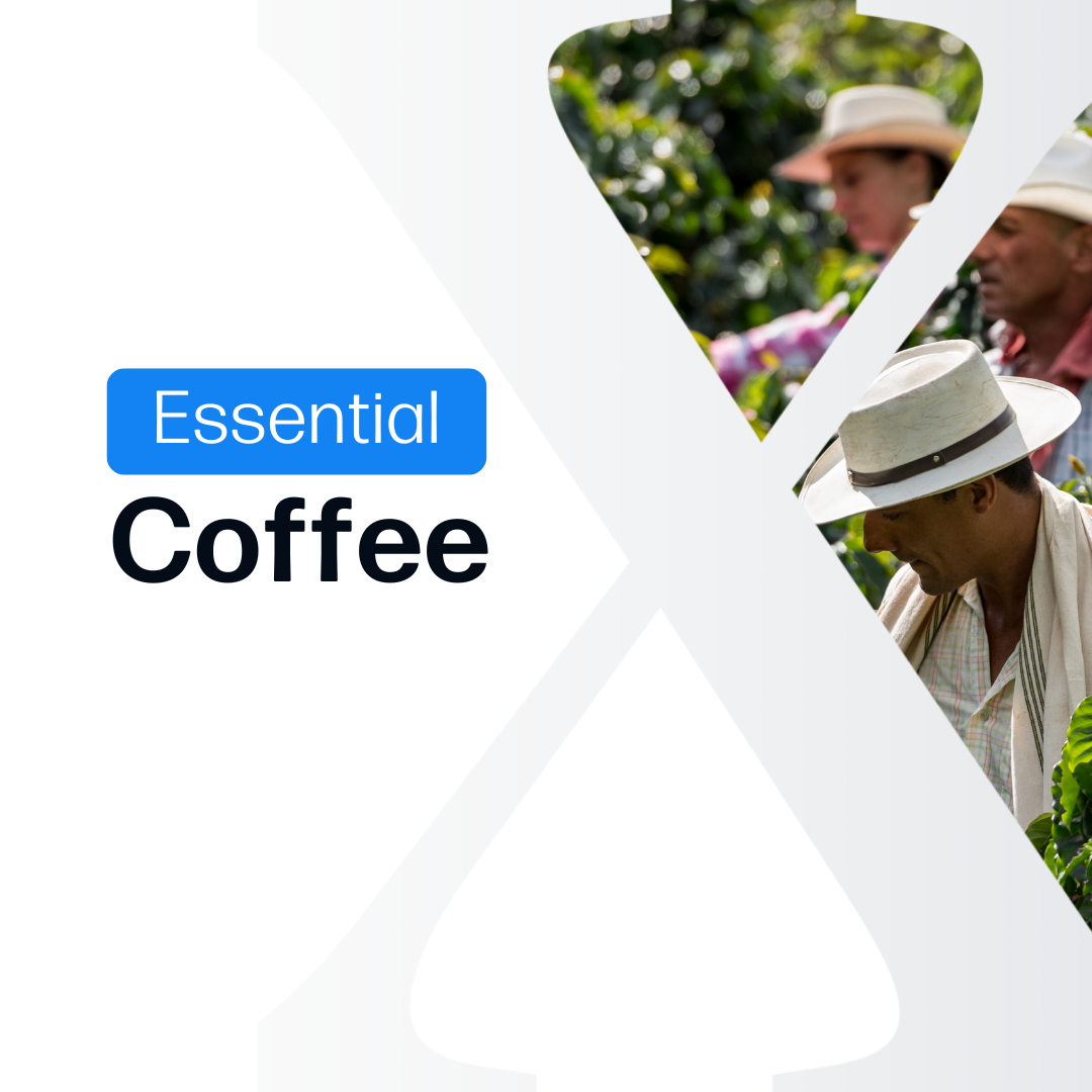 Coffee Essential - Market Reports