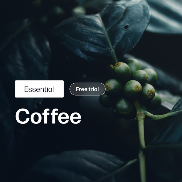 Coffee Market Reports | Essential