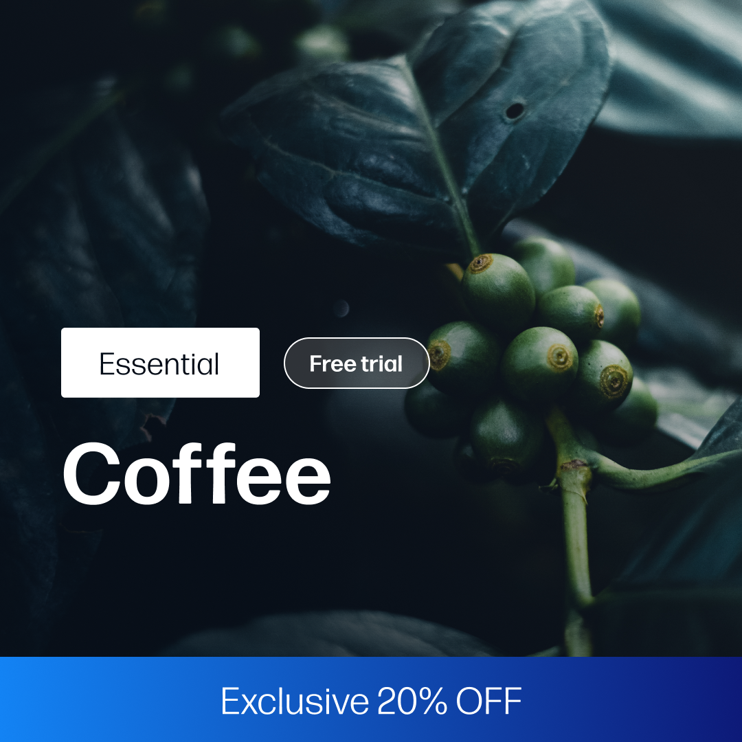 Close-up of unripe green coffee cherries on a branch with dark leaves, representing market insights and fundamental analysis for the Coffee Market Reports Subscription | Essential (20% OFF).