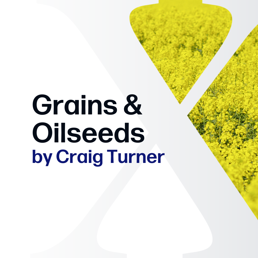 Grains by Craig Turner - Premium for Producers - Market Reports