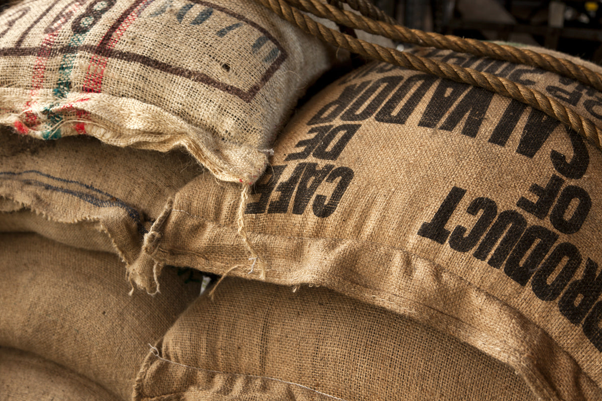 Stacked burlap sacks filled with raw coffee beans, featuring printed labeling and tied with natural fiber ropes, conveying commodity market trends and expert insights.
