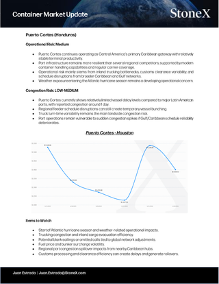 Detailed market report page displaying container port operational and congestion risks with a line graph, highlighting expert insights and exclusive market analysis for Container Market Update - Report Subscription.