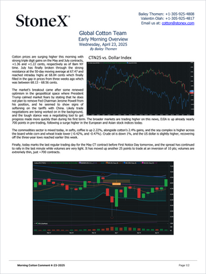Cotton Gold Plan - Market Reports Subscription showing a detailed early morning market overview including cotton price movements, technical charts, and expert analysis. Market Reports Subscriptions. Expert insights and exclusive market analysis. - report example 13