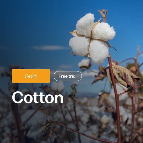 Cotton Market Reports