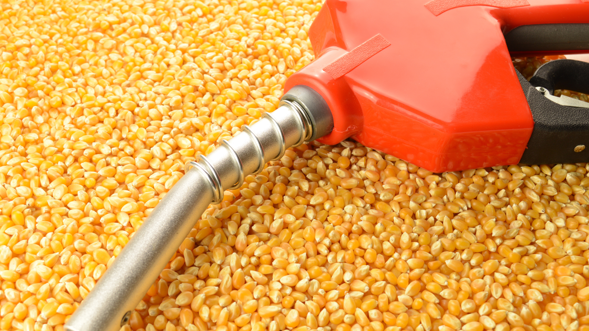 Close-up of a red fuel nozzle resting on a large pile of yellow corn kernels, symbolizing the intersection of agricultural commodities and energy markets with expert insights and exclusive market analysis.