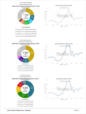 Page from Farmer Fertilizer Focus - Market Reports Subscription displaying 2023 phosphate export shares for Morocco, Russia, and India with price trends and historical DAP price charts, featuring Market Reports Subscription, expert insights, and exclusive market analysis. - report example 13