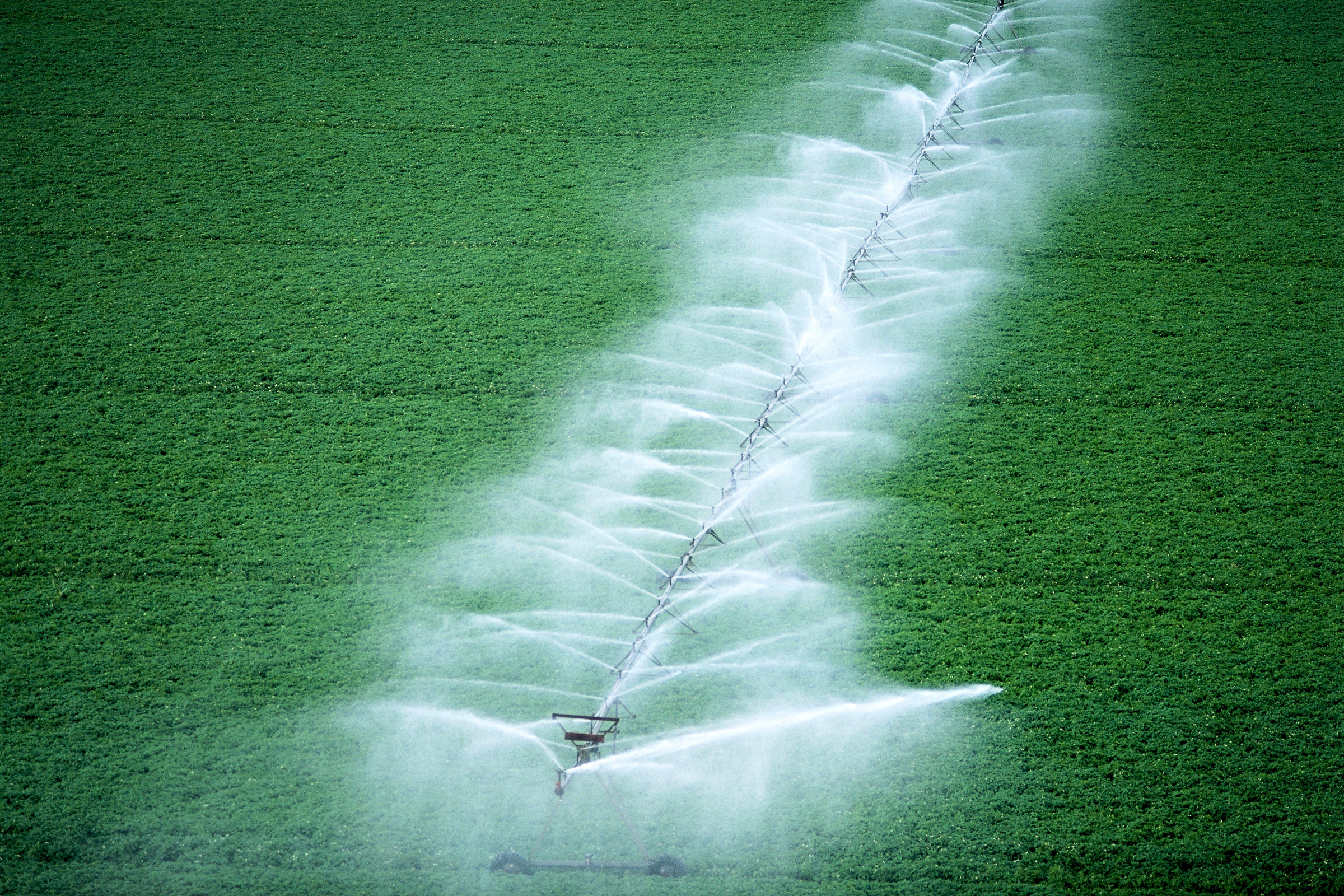 Automated irrigation system spraying water evenly over a large green agricultural field, illustrating agricultural commodity trends and expert market insights for report subscriptions.