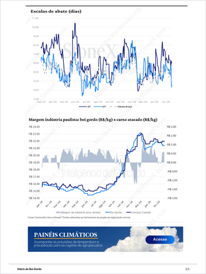 Pecuária Premium - Relatórios de Mercado featuring detailed cattle slaughter scale trends and industry margin analysis with pricing data for fat cattle and wholesale meat in São Paulo and Mato Grosso. Market Reports Subscriptions. Expert insights and exclusive market analysis. - report example 17