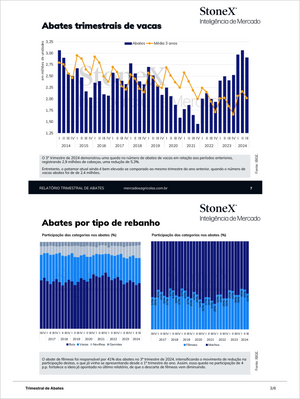 Pecuária Premium - Relatórios de Mercado featuring quarterly cow slaughter volume trends and herd category participation analysis with detailed market intelligence. Market Reports Subscriptions. Expert insights and exclusive market analysis. - report example 11