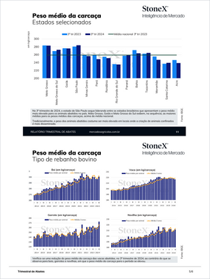 Pecuária Premium - Relatórios de Mercado presenting detailed quarterly carcass weight trends by Brazilian states and herd types with Market Reports Subscriptions. Expert insights and exclusive market analysis. - report example 13