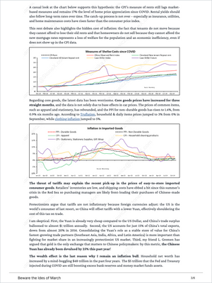 Global Macro Insights by Vincent Deluard report page featuring detailed market data and analysis on shelter costs, core goods inflation, tariffs impact, and inflation trends with expert insights and exclusive market analysis for Market Reports Subscriptions. - report example 3