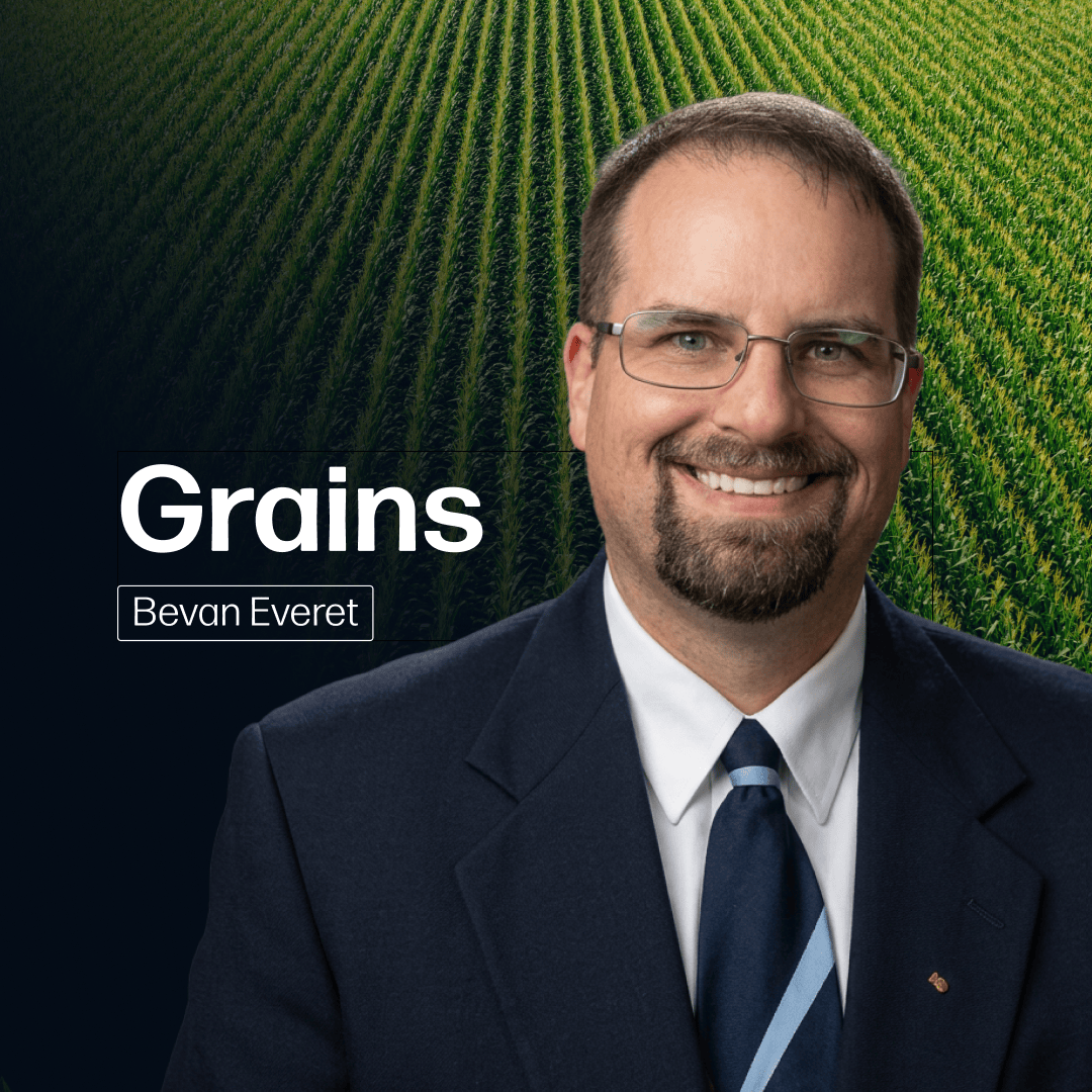 Grains Market Reports Subscription | By Bevan Everett
