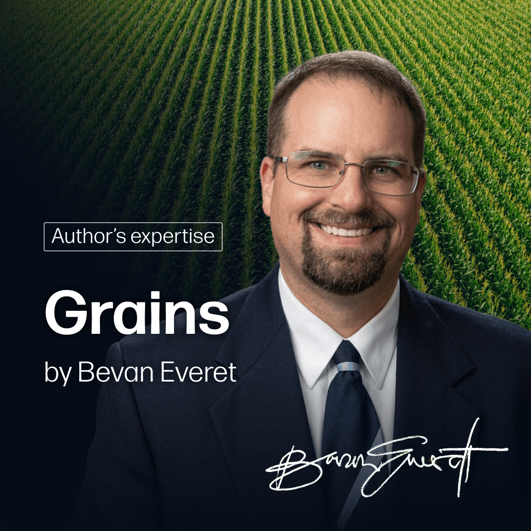 Grains Market Reports Subscription | By Bevan Everett