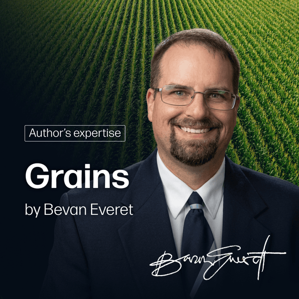 Grains Market Reports Subscription | By Bevan Everett