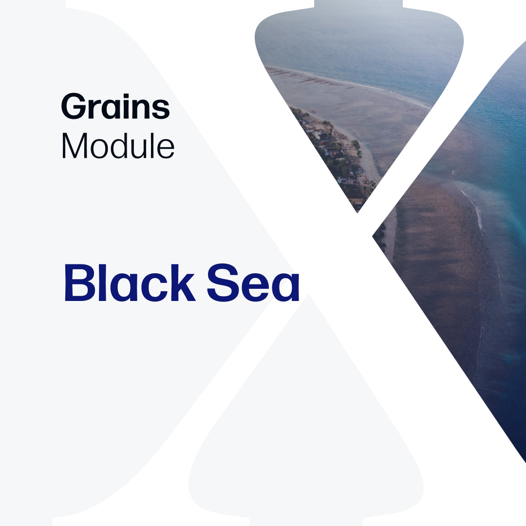 Grains Black Sea - Market Reports