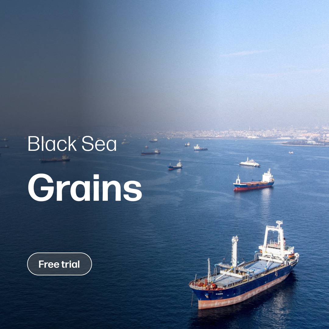 Cargo ships anchored on calm waters of the Black Sea near a coastal city, illustrating global grain trade and market insights for the Grains Market Reports Subscription | Black Sea.