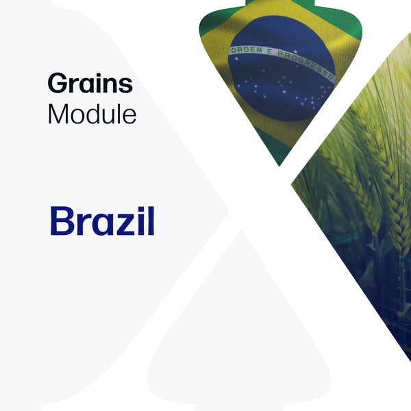Grains Market Reports Subscription | Brazil