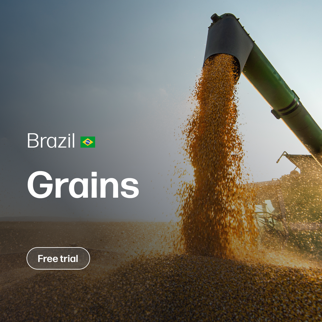 Golden grains cascade from a large agricultural machine into a growing pile outdoors at sunset, accompanied by text highlighting Brazil and an option for a free trial.