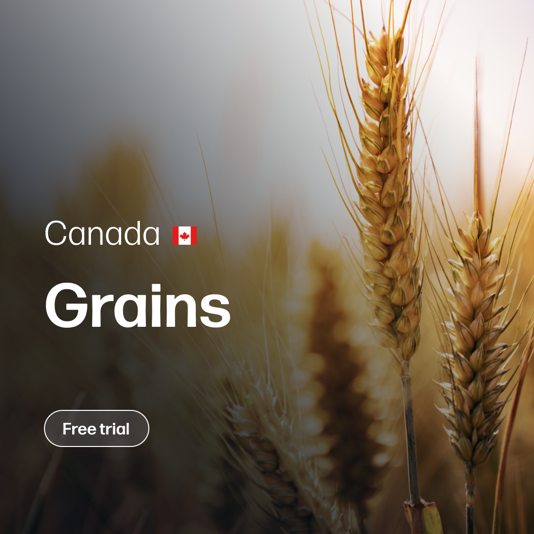 Close-up of golden wheat stalks against a softly blurred background, featuring text about grains in Canada with a call-to-action button for a free trial.