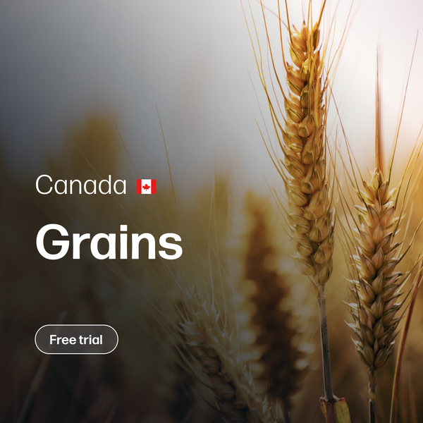 Grains Market Reports | Canada